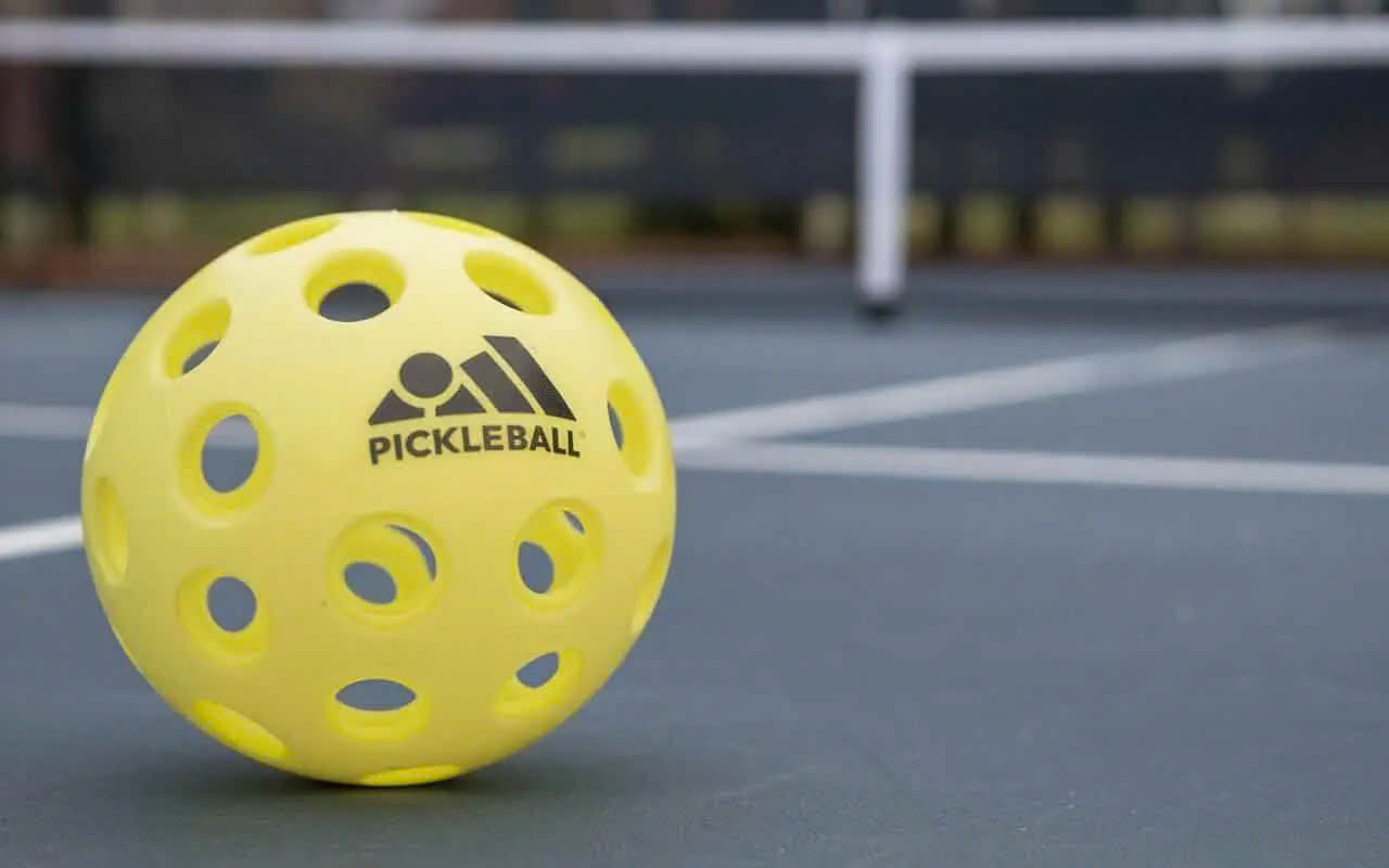 bong-pickleball-ngoai-troi-co-bao-nhieu-lo